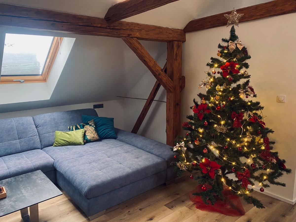 Apartman Danuse Česká Lípa Bagian luar foto