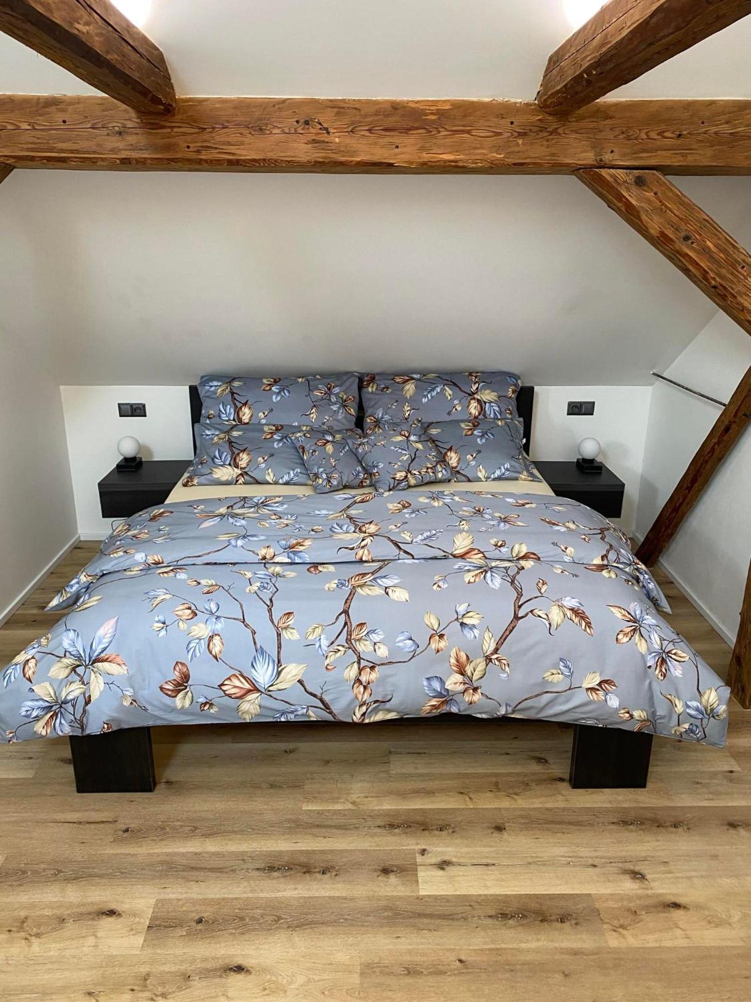 Apartman Danuse Česká Lípa Bagian luar foto